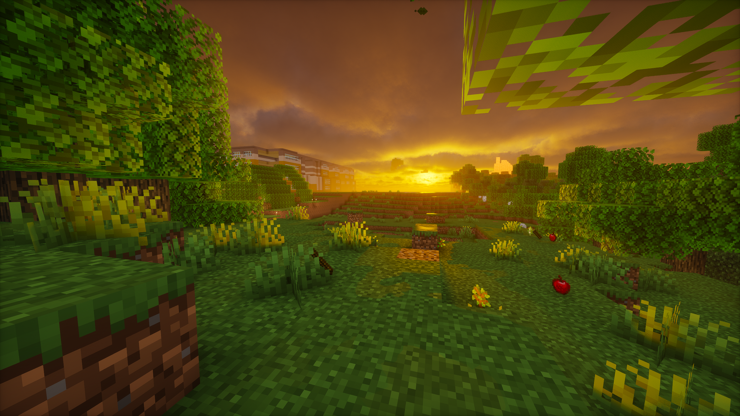 Закаты QiwiWorld